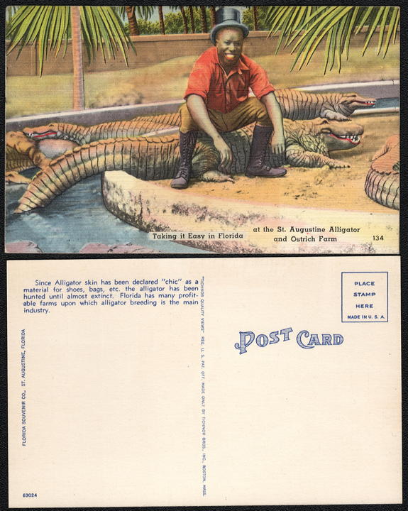 #NE030 - Group of 12 - Postcard Picturing a Daring Black Man Sitting on an Alligator - St. Augustine