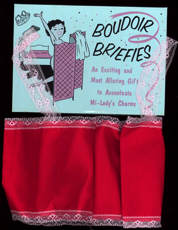 #PINUP047- Boxed "Boudoir Briefies" Novelty Outfit