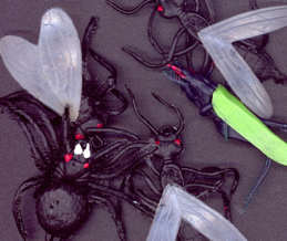 #TY475 - Bag of 10 Extra Huge Rubbery Monster Bugs