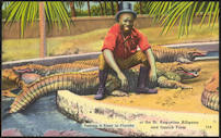 #NE030 - Daring Black Guy Sitting on an Alligator Postcard - St. Augustine - As low as $1.75