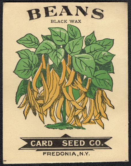 #CE154 - Very Early Black Wax Beans Card Seed Packet