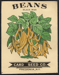 #CE154 - Very Early Black Wax Beans Card Seed P...