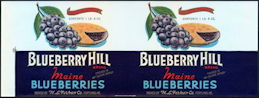 #ZLCA158 - Rare Blueberry Hill Maine Blueberry ...