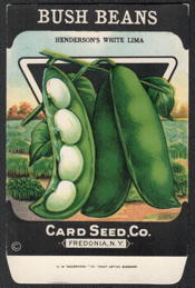 #CE178 - Henderson's White Lima Bush Beans Seed Packet - Card Seed Co.