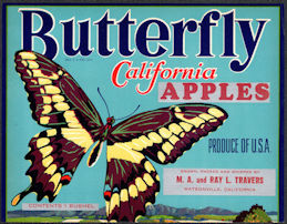 #ZLC456 - Butterfly California Apples Crate Label
