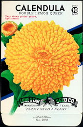 #CE003 - Double Lemon Queen Calendula Lone Star 10¢ Seed Pack - As Low As 50¢ each