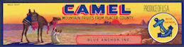 #ZLSG071 - Camel Fruit Crate Label - As low as 35¢ each