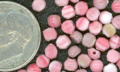 #BEADS0051 - 200 Candy Cane Czech Nailhead Glas...