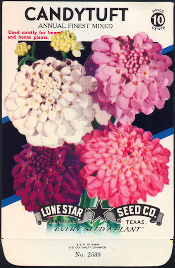 #CE004 - Mixed Candytuft Lone Star 10¢ Seed Pack - As Low As 50¢ each