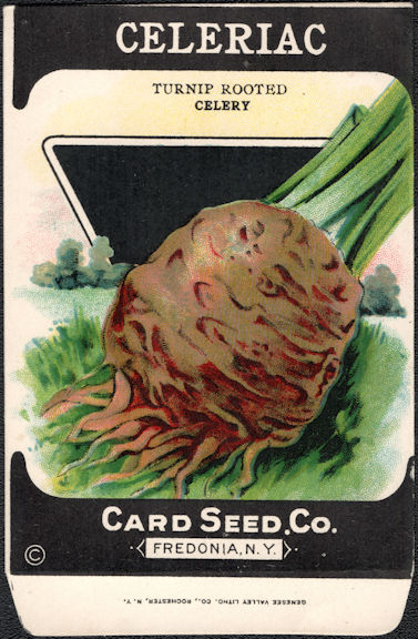 #CE163 - Celeriac Turnip Rooted Celery Card Seed Packet