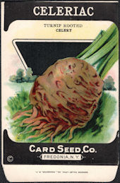 #CE163 - Celeriac Turnip Rooted Celery Card Seed Packet