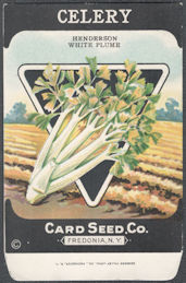 #CE172 - Henderson White Plume Celery Seed Card Seed Packet