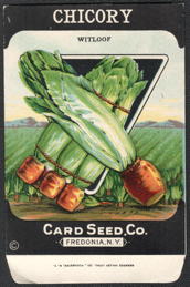 #CE192 - Witloof Chicory Seed Packet - Card Seed Co.
