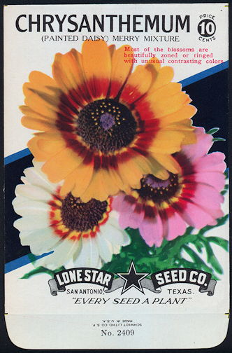 #CE006 - Brilliantly Colored Chrysanthemum Mixture Lone Star 10¢ Seed Pack - As Low As 50¢ each