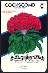 #CE007 - Brilliantly Colored Cockscomb Dwarf Red Lone Star 10¢ Seed Pack - As Low As 50¢ each