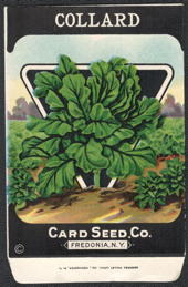 #CE175 - Collard Seed Packet - Card Seed Co.