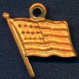 #BEADSC0290 - Group of 10 Copper American Flag Charms