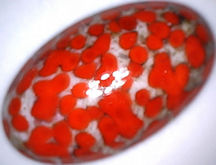#BEADS0621 - Very Large 24mm Coral Matrix Glass Cabochon