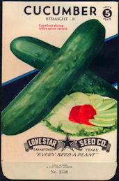 #CE057 - Brightly Colored Straight 8 Cucumber Lone Star 5¢ Seed Pack - As Low As 50¢ each