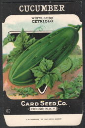 #CE174 - White Spine Cetriolo Cucumber Seed Packet - Card Seed Co.