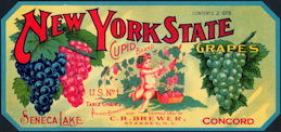 #ZLSG061 - 1890s Cupid Grape Crate Label