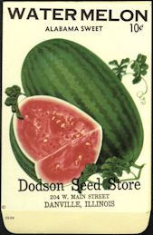 #CE165 - Rare Alabama Sweet Dodson Seed Pack