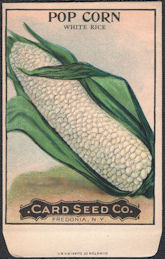 #CE159 - Very Early and Rare Pop Corn Card Seed...