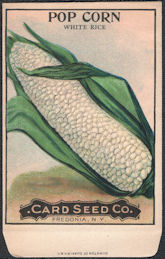 #CE159 - Very Early and Rare Pop Corn Card Seed Packet