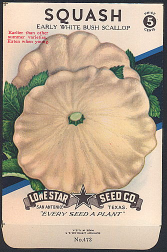 #CE077.1 - Group of 12 Brilliantly Colored Early White Bush Scallop Squash Lone Star 5¢ Seed Packs