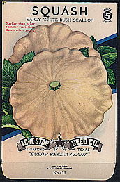 #CE077 - Brilliantly Colored Early White Bush Scallop Squash Lone Star 5¢ Seed Pack - As Low As 50¢ each