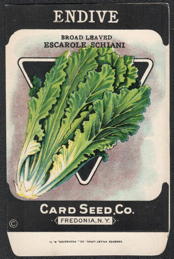 #CE179 - Broad Leaved Escarole Schiani Endive Seed Packet - Card Seed Co.