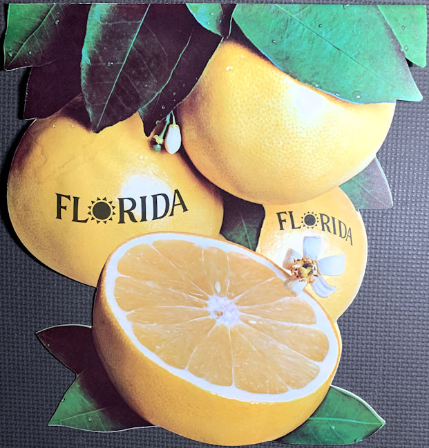 #SIGN261 - Florida Grapefruit Two-Sided Diecut Paper Banner