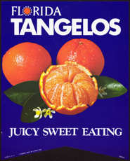 #SIGN115 - Florida Tangelos Paper Banner