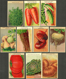 #CE093 - Group of 10 Different 1920s French Fruit/Vegetable Seed Pack/Jar Labels - Spectacular Colors