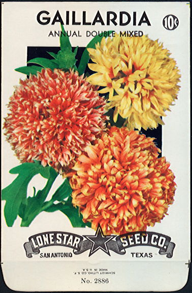 #CE007.11 - Group of 12 Annual Double Mixed Gaillardia Lone Star 10¢ Seed Packs