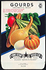 #CE008.1 - Group of 12 Beautiful Gourds 10¢ Seed Packs - Nice Fall/Halloween Item