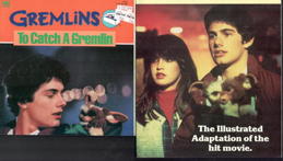 #CH716 - Group of Two Different Gremlins Books