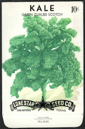 #CE057.3 - Green Curled Scotch Kale Lone Star 1...