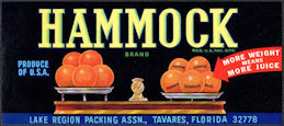 #ZLCA*078 - Hammock Orange Crate Label - Tavares, FL