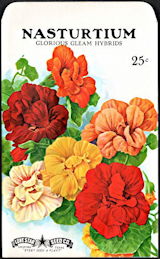 #CE148 - Huge Nasturtium Seed Pack