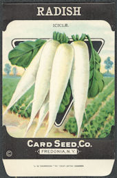 #CE168 - Icicle Radish Card Seed Packet