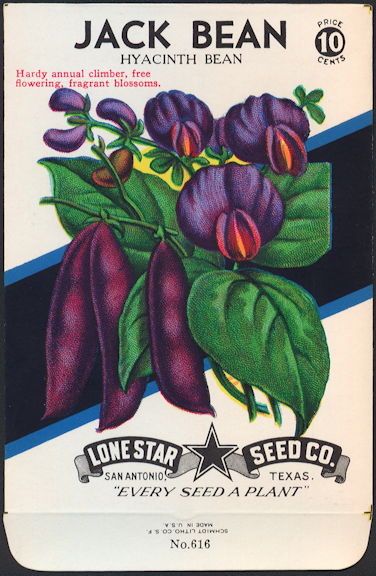 #CE009 - Brilliantly Colored Jack Bean Hyacinth Lone Star 10¢ Seed Pack - As Low As 50¢ each