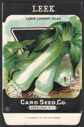#CE186 - Large London Flag Leek Seed Packet - Card Seed Co.