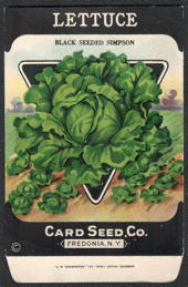 #CE183 - Black Seeded Simpson Lettuce Seed Packet - Card Seed Co.
