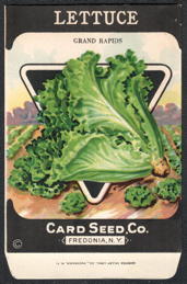 #CE182 - Grand Rapids Lettuce Seed Packet - Card Seed Co.