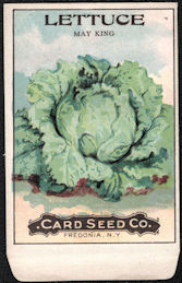 #CE170 - Very Early May King Lettuce Beans Card Seed Packet