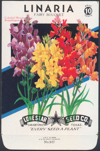 #CE012.1 - Group of 12 Brilliantly Colored Lone Star Seed Company Linaria Bouquet 10¢ Seed Packs