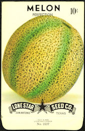 #CE060 - Perfection Melon Lone Star 10¢ Seed Pa...