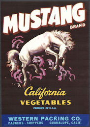 #ZLSH207 - Group of 12 Larger Size Mustang Vegetable Crate Labels