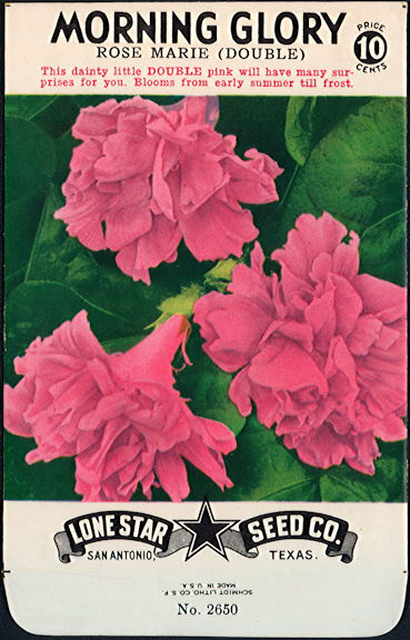 #CE017.1 - Rose Marie Double Morning Glory Lone Star 10¢ Seed Pack - As Low As 50¢ each
